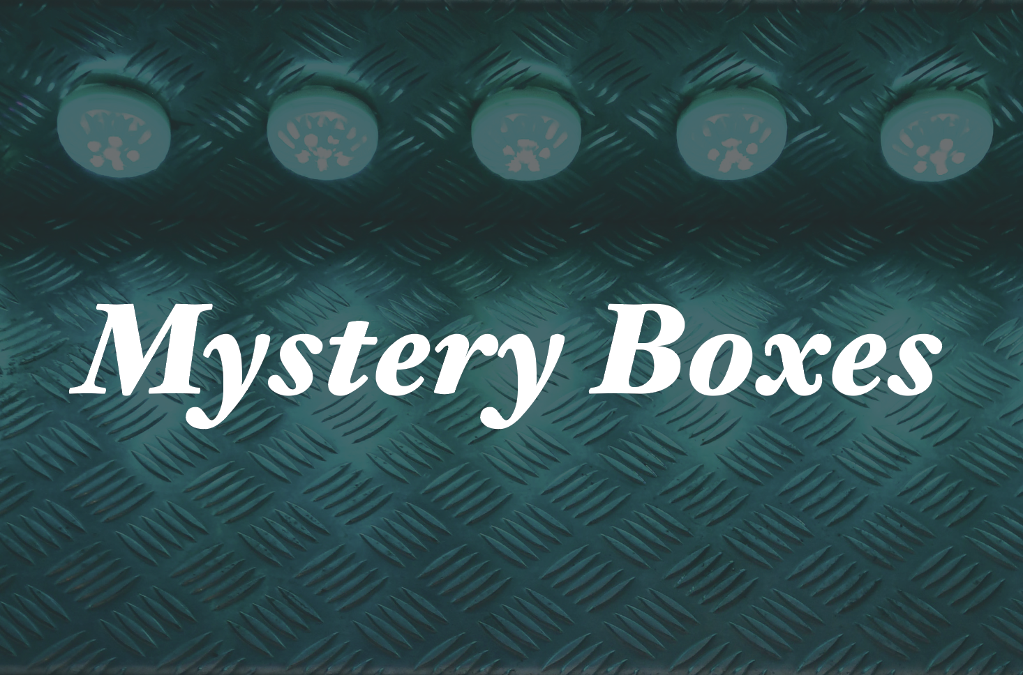 New! Boxes!