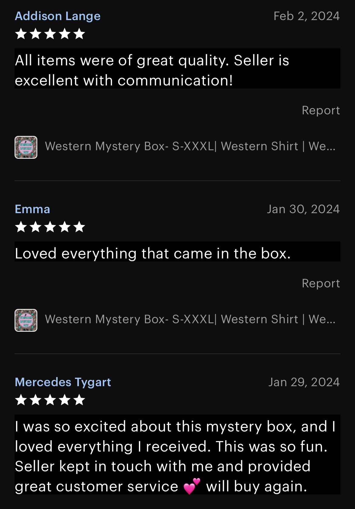 Western Mystery Box- Etsy Bestseller!