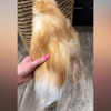 Genuine Fox Tails