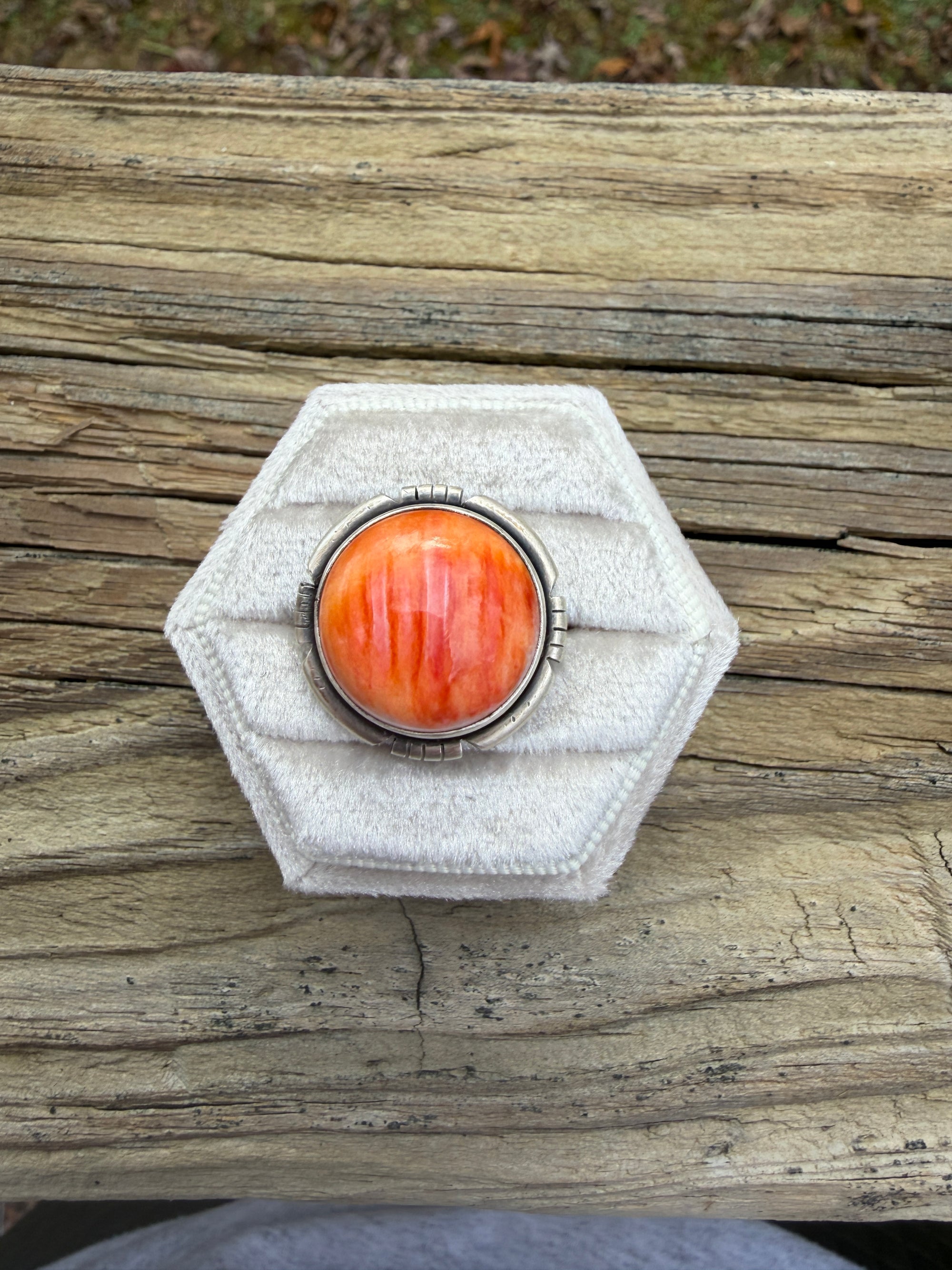 Orange Spiny Eli Skeets Ring- 5.5