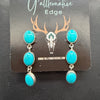 Sleeping Beauty Turquoise Drop Earrings