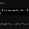 Western Mystery Box- Etsy Bestseller!