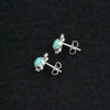 Native Made Vern Pincion Turquoise & Sterling Silver Turtle Earrings 🐢