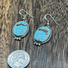Blue Glacier Turquoise Dangle Earrings Byron B.