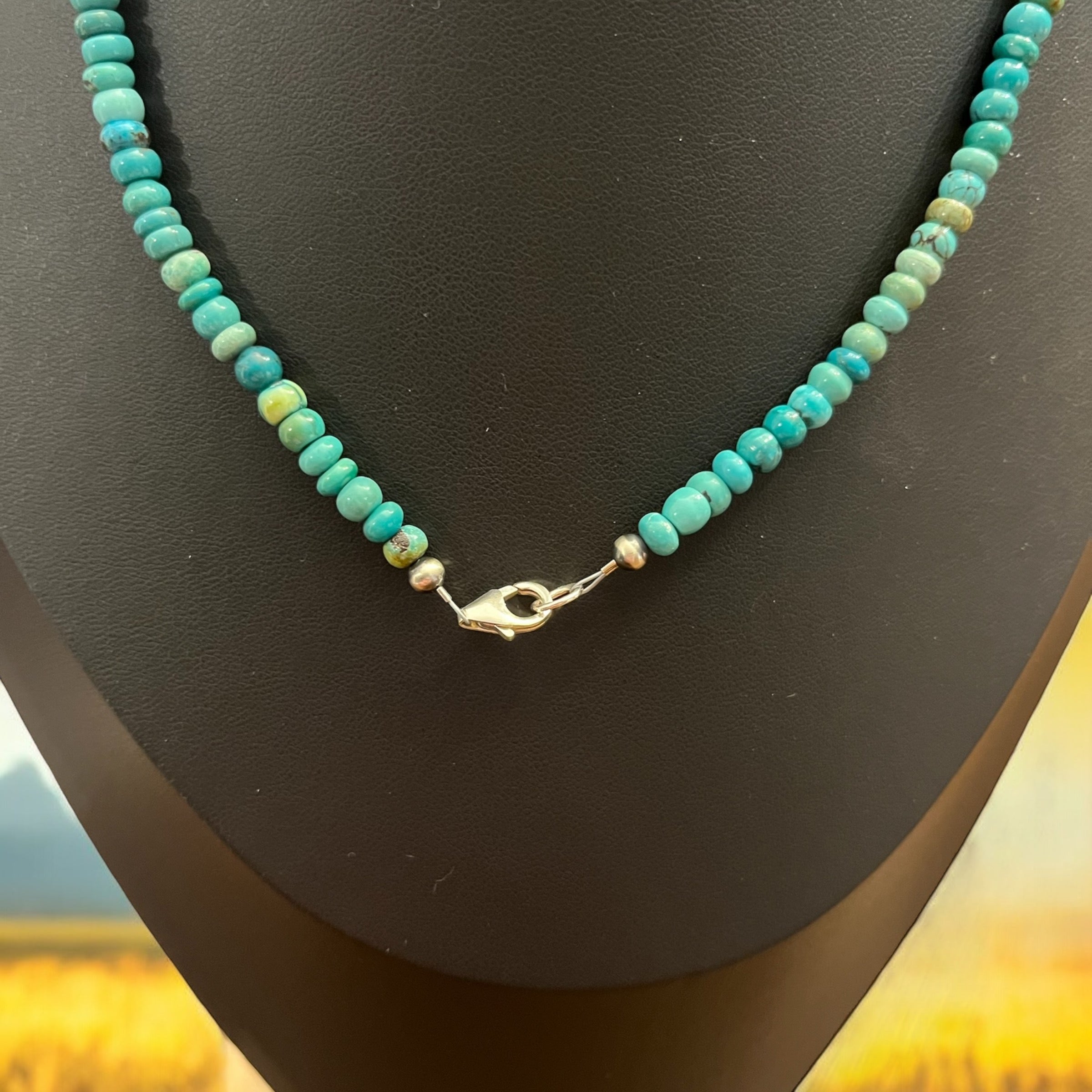 Kingsman Turquoise Rondelle Bead & Sterling Navajo Pearl Native Strung Necklace