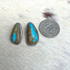 XL Turquoise Studs- Native