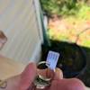 RARE, Gallery Quality Johnny Dixon White Buffalo Adjustable Ring — Sterling Silver