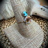 Kathryn Qualo Turtle Set – Cowrie Shell, Turquoise & Jet