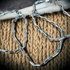 Staple Sterling Silver Paperclip Chain Bracelet – High Shine